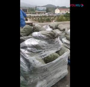 無花果、蘋果、梨、桃、杏葡萄處理生產(chǎn)線